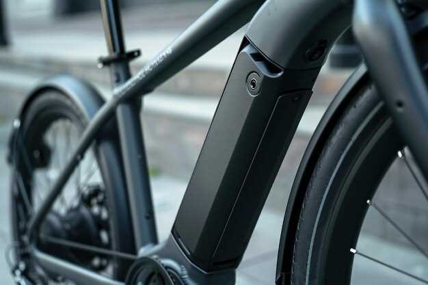 Charging Infrastructure: Access and Availability for Electric Riders